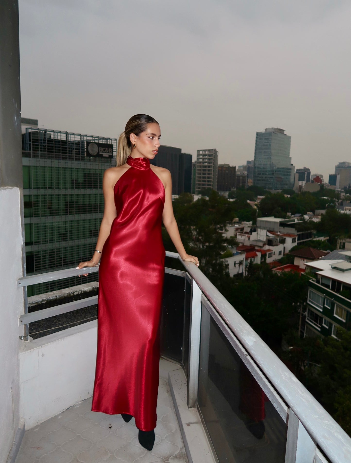 Hortensia largo tinto